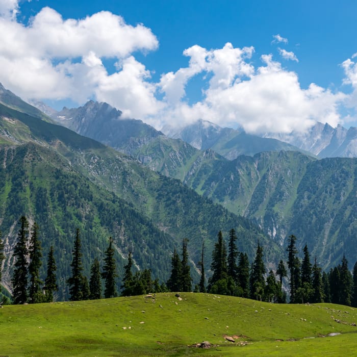 A green mountain meadow ringed by snow peaks in Sonamarg, Kashmir