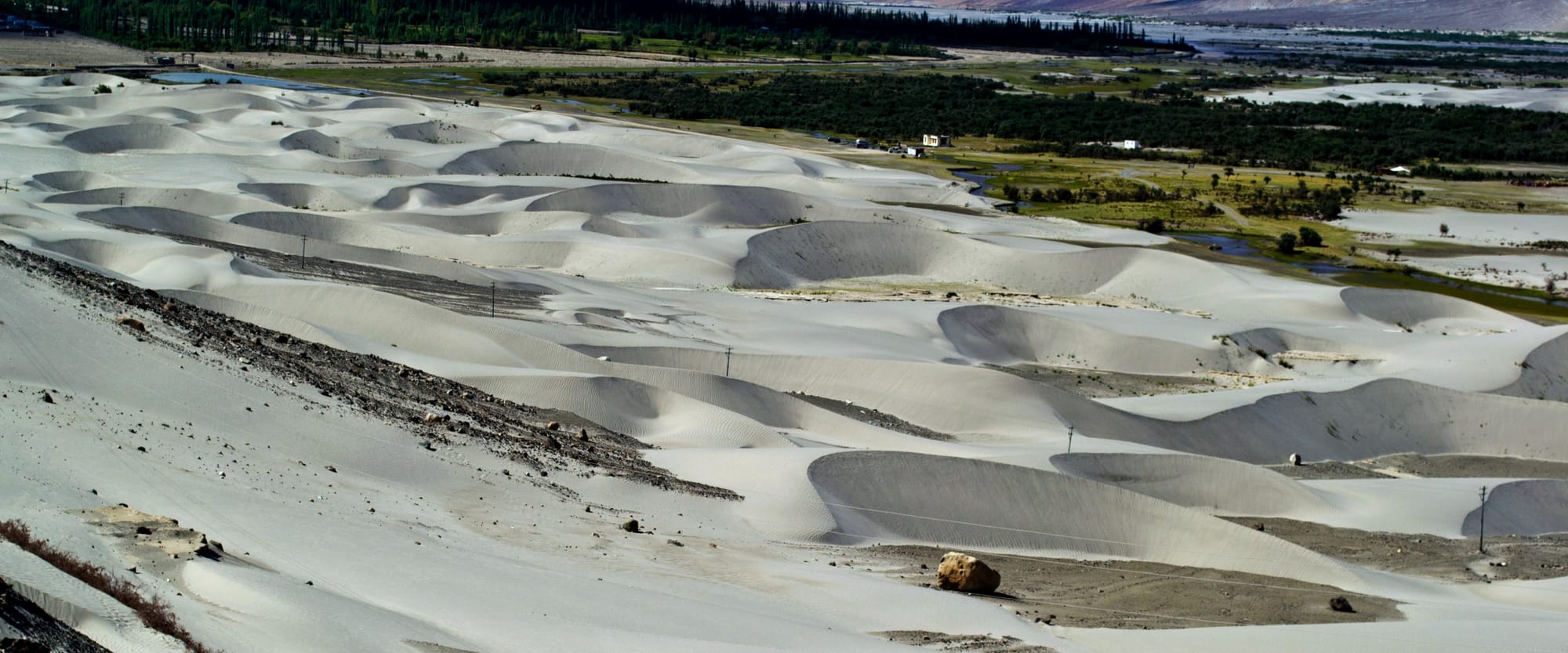 Sand dunes at Hunder in the Nubra valley, Ladakh